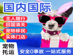 株洲芦淞空运公司国际宠物托运 【国